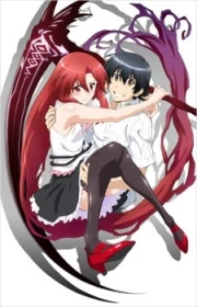 Dakara Boku wa, H ga Dekinai Recap