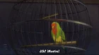 Death Note episodio 28