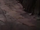 Naruto episodio 208