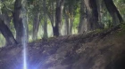 Granblue Fantasy The Animation episodio 13