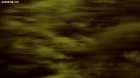 Godzilla: S.P episodio 2