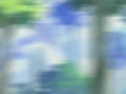 Shaman King episodio 55